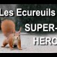 Les écureuils super-héros