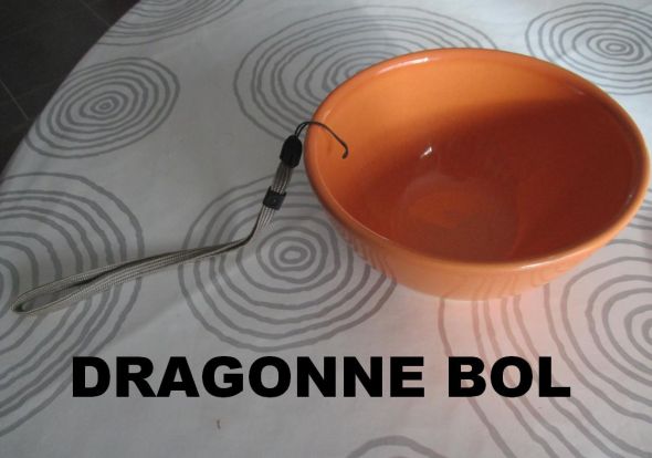 Dragonne Bol 